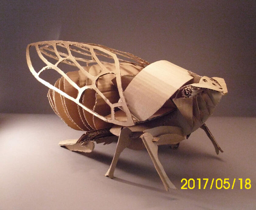 Cardboard Cicada 'Winslow' - Merit Award Winner