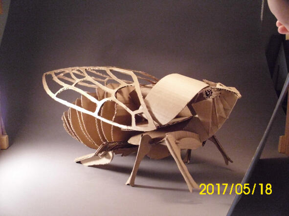 'Winslow' cardboard cicada