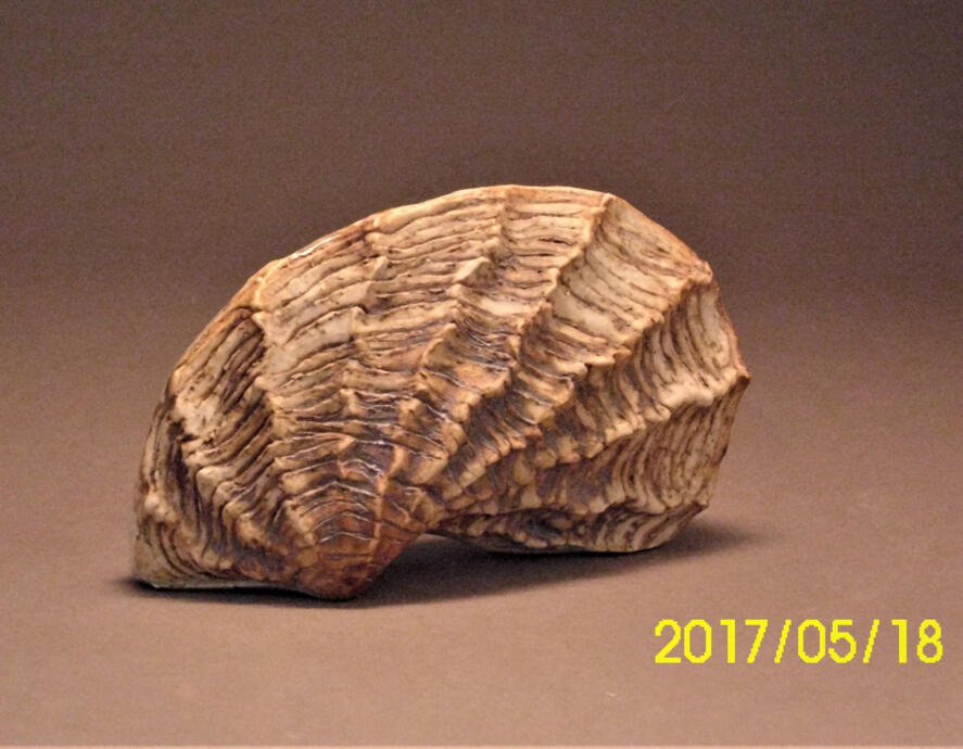 Clay baked Oyster Ear