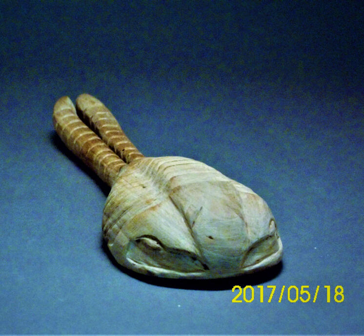 Trilobite Spoon